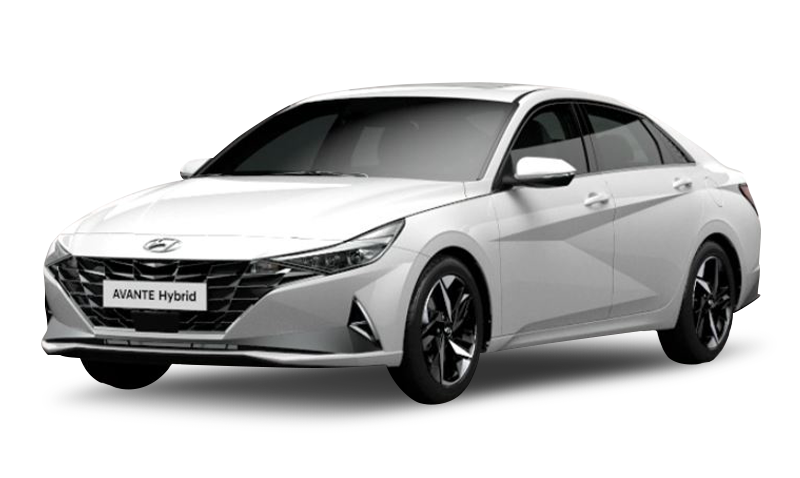 폴라 화이트 익스테리어